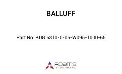 BDG 6310-0-05-W095-1000-65									
