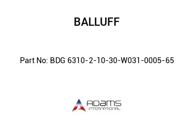BDG 6310-2-10-30-W031-0005-65									
