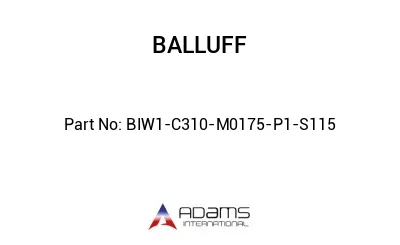 BIW1-C310-M0175-P1-S115									