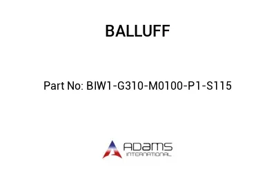 BIW1-G310-M0100-P1-S115									
