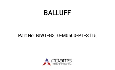 BIW1-G310-M0500-P1-S115									