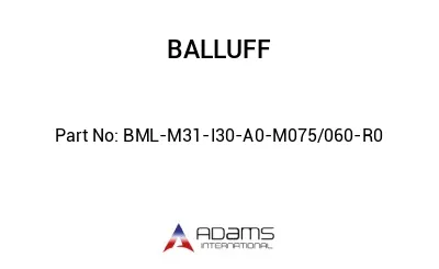 BML-M31-I30-A0-M075/060-R0									