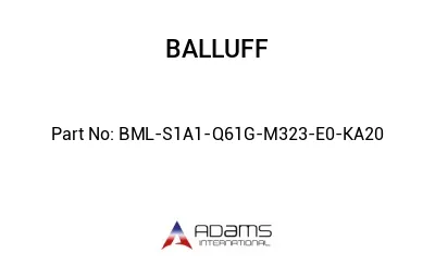BML-S1A1-Q61G-M323-E0-KA20									