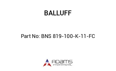 BNS 819-100-K-11-FC