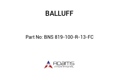 BNS 819-100-R-13-FC									