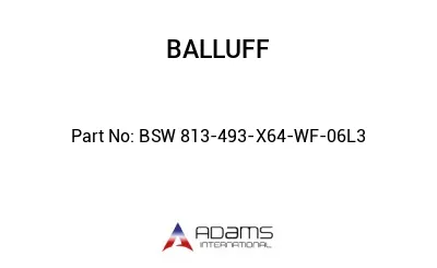 BSW 813-493-X64-WF-06L3									