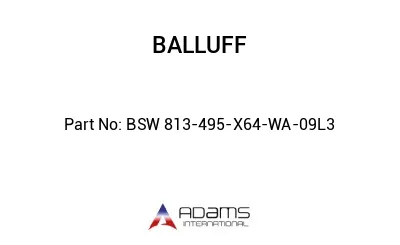 BSW 813-495-X64-WA-09L3									